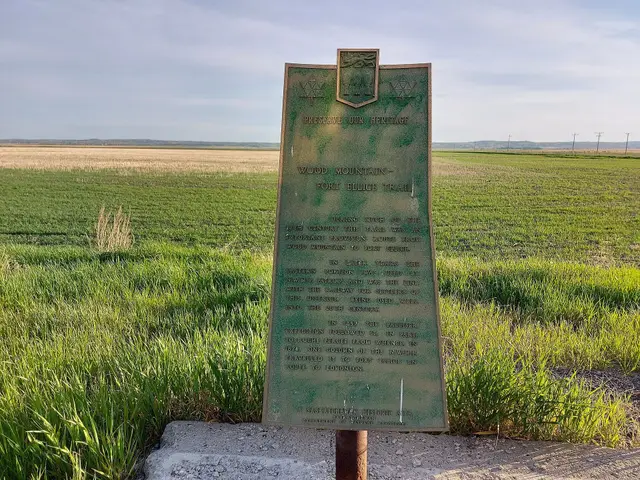 Wood Mountain–Fort Ellice Trail historic plaque
